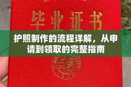 壤塘护照制作的流程详解，从申请到领取的完整指南